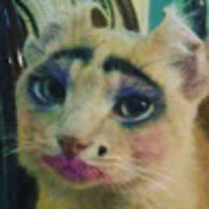 Meet your Posher, Lydia